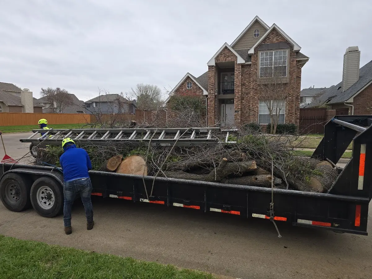 Expert Lot Clearing with proper safety equipment in Kirkman